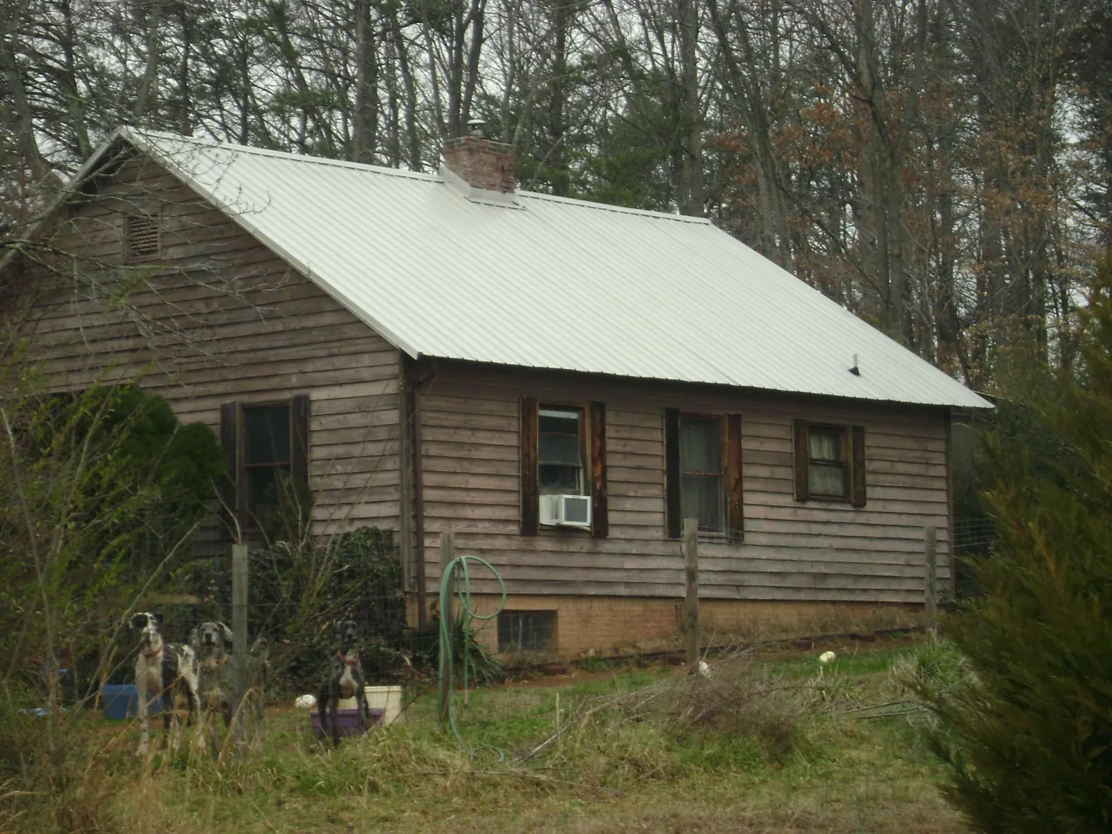 White metal roof on an old wood sided farmhouse, from a Metal Roof Installation job in Shoup